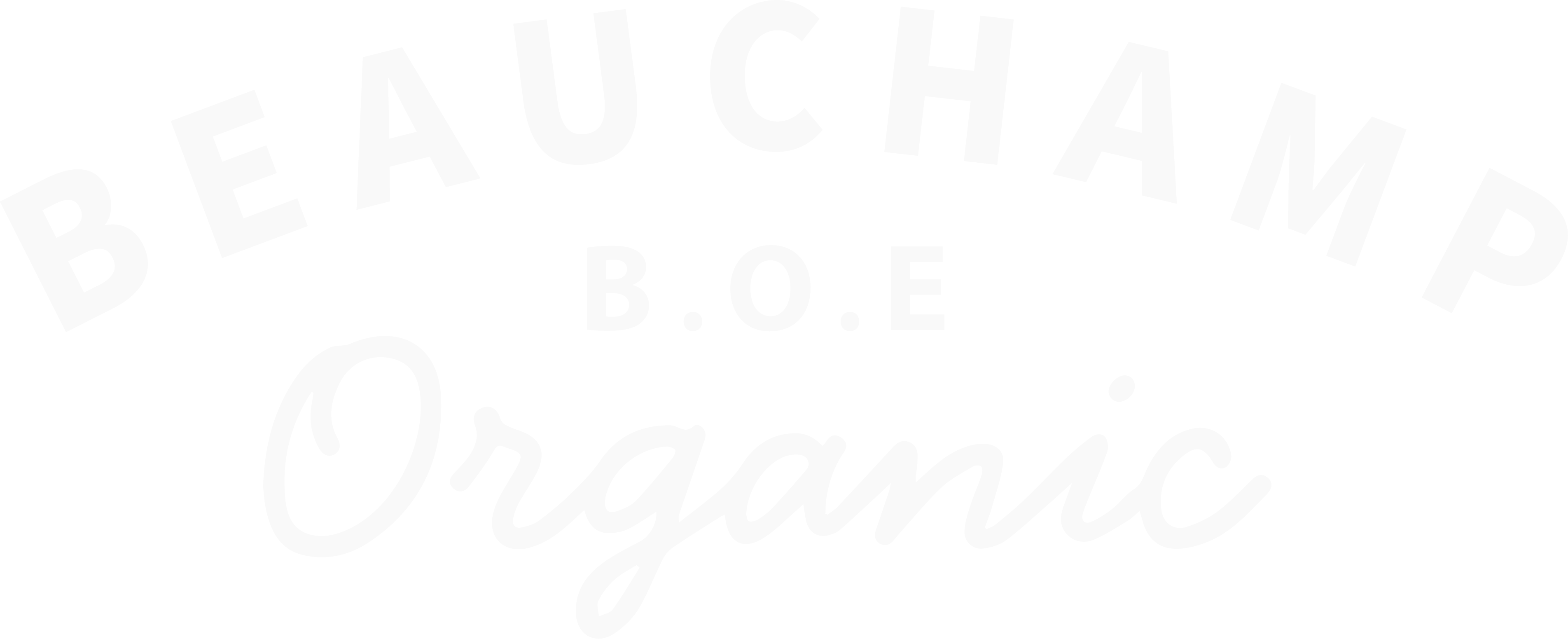 Beauchamp Organic Eggs