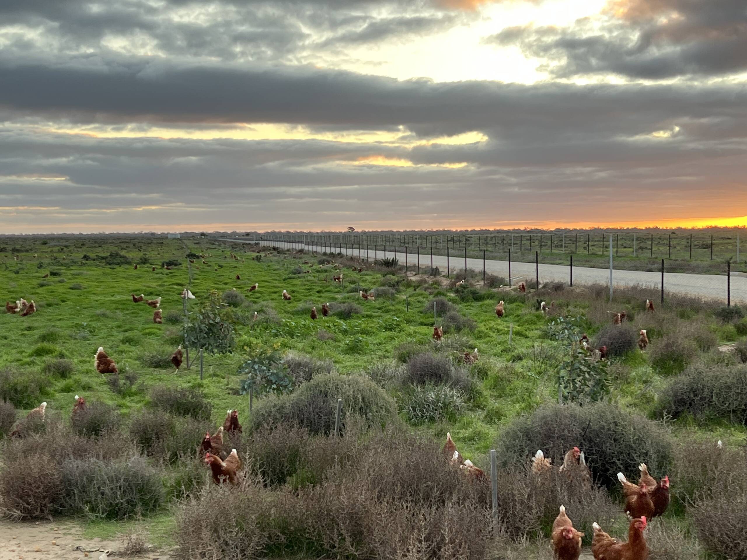 Farm Enviroment